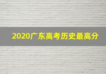 2020广东高考历史最高分