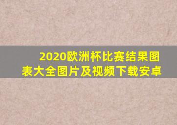 2020欧洲杯比赛结果图表大全图片及视频下载安卓