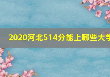 2020河北514分能上哪些大学