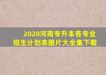 2020河南专升本各专业招生计划表图片大全集下载