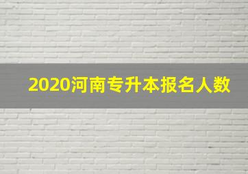 2020河南专升本报名人数