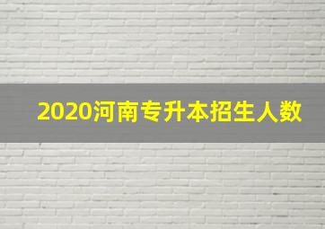 2020河南专升本招生人数