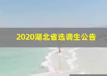 2020湖北省选调生公告