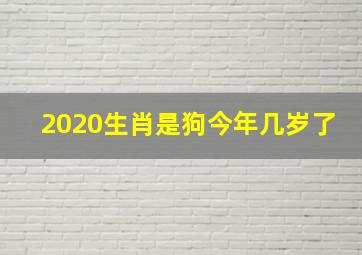 2020生肖是狗今年几岁了