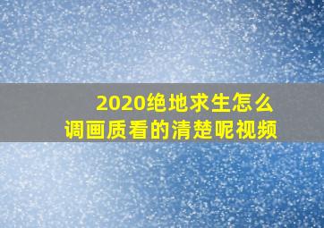 2020绝地求生怎么调画质看的清楚呢视频