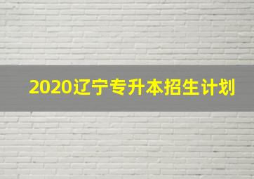 2020辽宁专升本招生计划