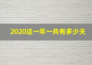 2020这一年一共有多少天