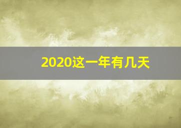 2020这一年有几天