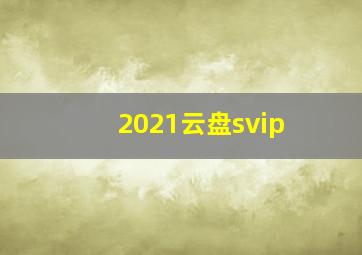 2021云盘svip