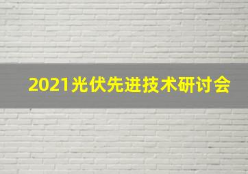 2021光伏先进技术研讨会