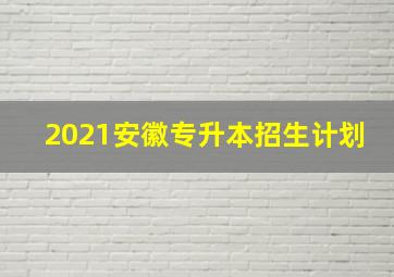 2021安徽专升本招生计划