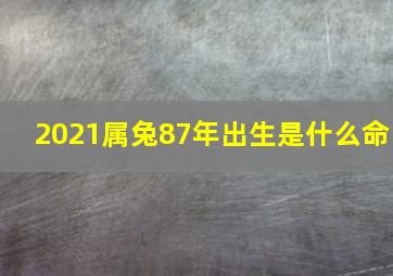 2021属兔87年出生是什么命