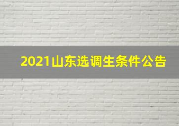 2021山东选调生条件公告