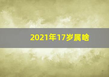 2021年17岁属啥