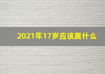 2021年17岁应该属什么