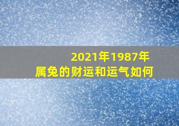 2021年1987年属兔的财运和运气如何