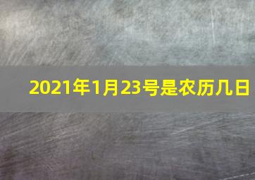 2021年1月23号是农历几日