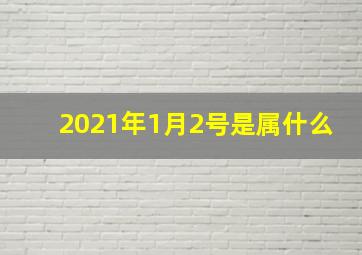 2021年1月2号是属什么