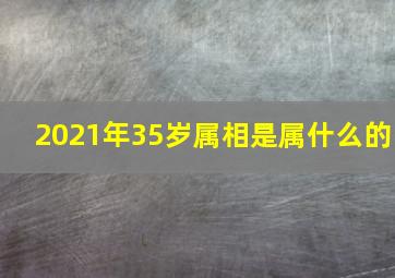 2021年35岁属相是属什么的