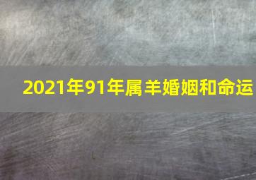 2021年91年属羊婚姻和命运