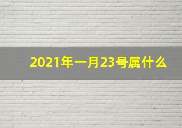 2021年一月23号属什么