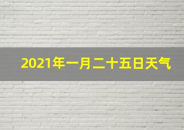 2021年一月二十五日天气