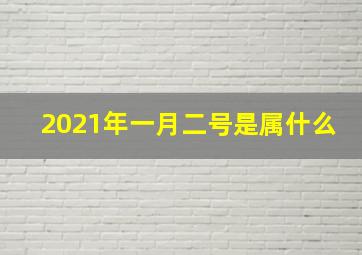 2021年一月二号是属什么