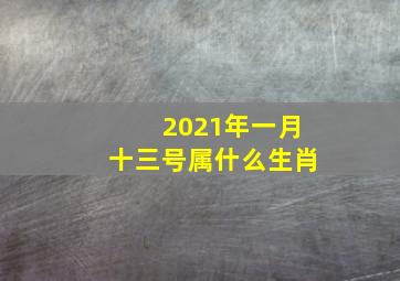 2021年一月十三号属什么生肖