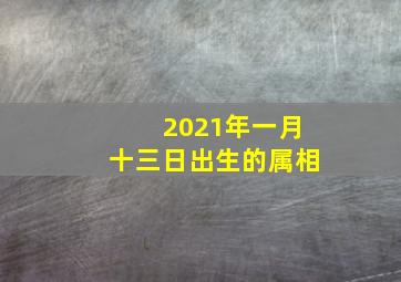 2021年一月十三日出生的属相