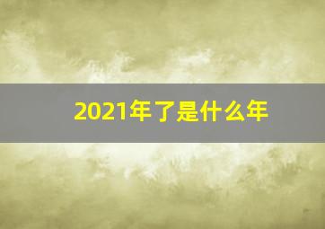 2021年了是什么年