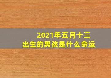 2021年五月十三出生的男孩是什么命运