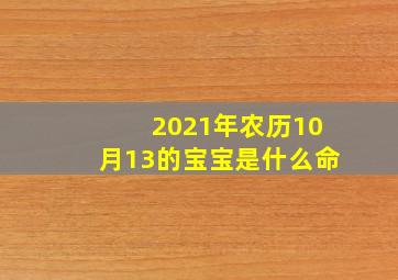 2021年农历10月13的宝宝是什么命