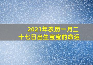 2021年农历一月二十七日出生宝宝的命运