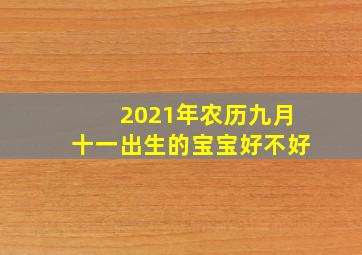 2021年农历九月十一出生的宝宝好不好