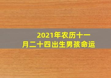 2021年农历十一月二十四出生男孩命运