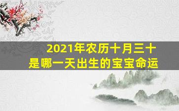 2021年农历十月三十是哪一天出生的宝宝命运