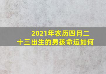 2021年农历四月二十三出生的男孩命运如何