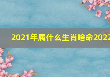 2021年属什么生肖啥命2022