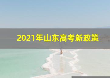 2021年山东高考新政策