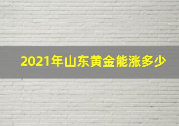 2021年山东黄金能涨多少