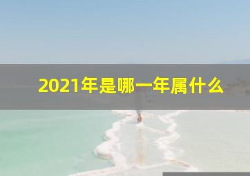 2021年是哪一年属什么