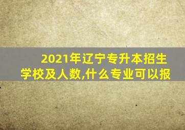 2021年辽宁专升本招生学校及人数,什么专业可以报