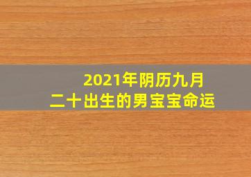 2021年阴历九月二十出生的男宝宝命运