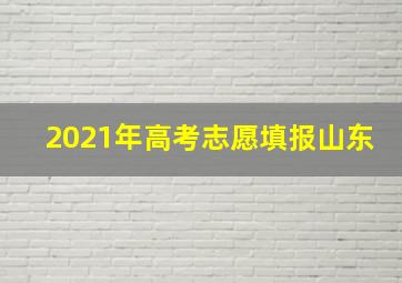 2021年高考志愿填报山东