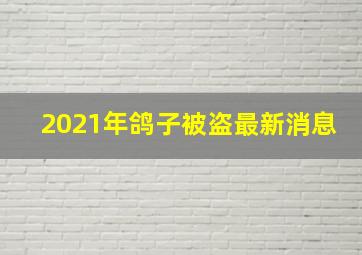 2021年鸽子被盗最新消息