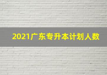 2021广东专升本计划人数