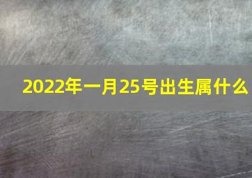 2022年一月25号出生属什么