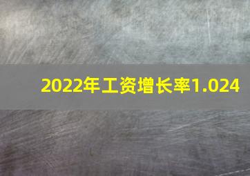 2022年工资增长率1.024