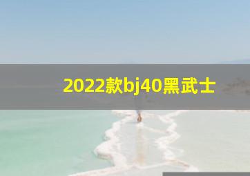 2022款bj40黑武士