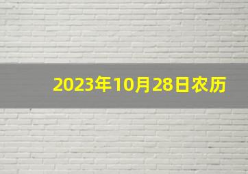 2023年10月28日农历